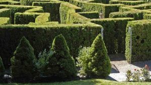 Risk Assessment: More than a checklist
